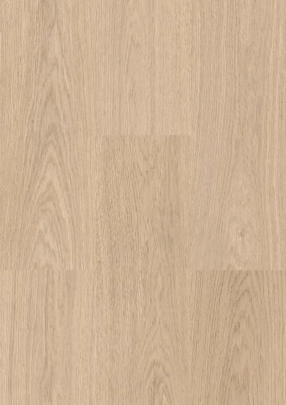 Egibi Floors Winnipeg XXL – panele winylowe SPC na klik 8 mm